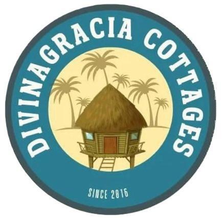 Divinagracia Cottages ซาน วิเซนเต ภายนอก รูปภาพ