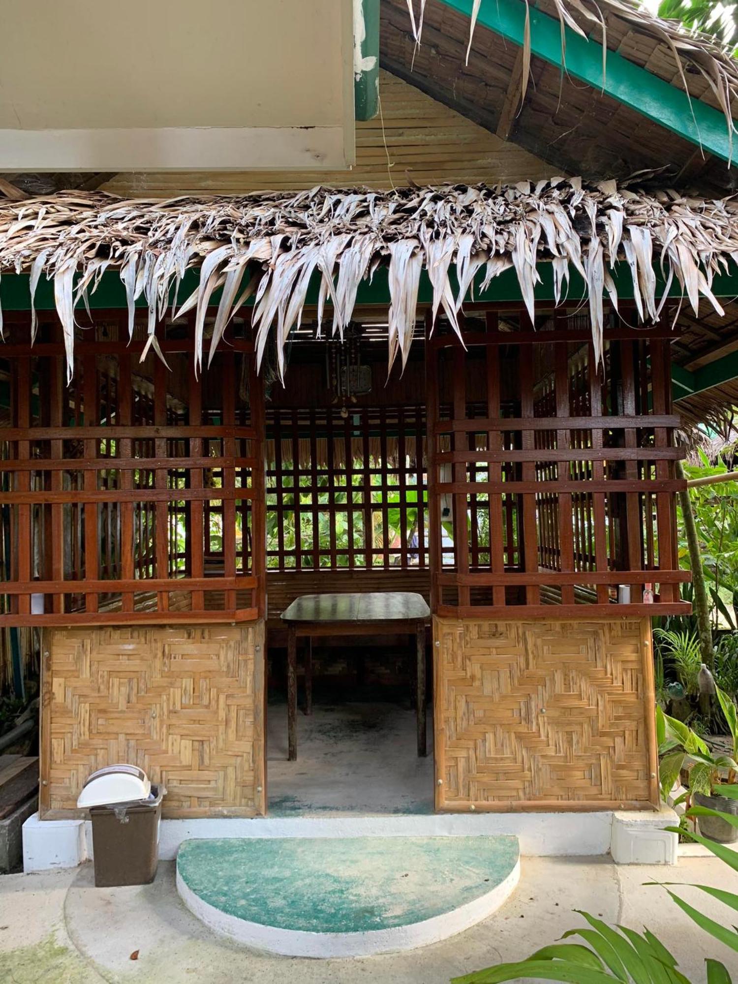 Divinagracia Cottages ซาน วิเซนเต ภายนอก รูปภาพ